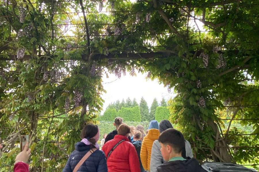 Wycieczka Wiedeń + Budapeszt