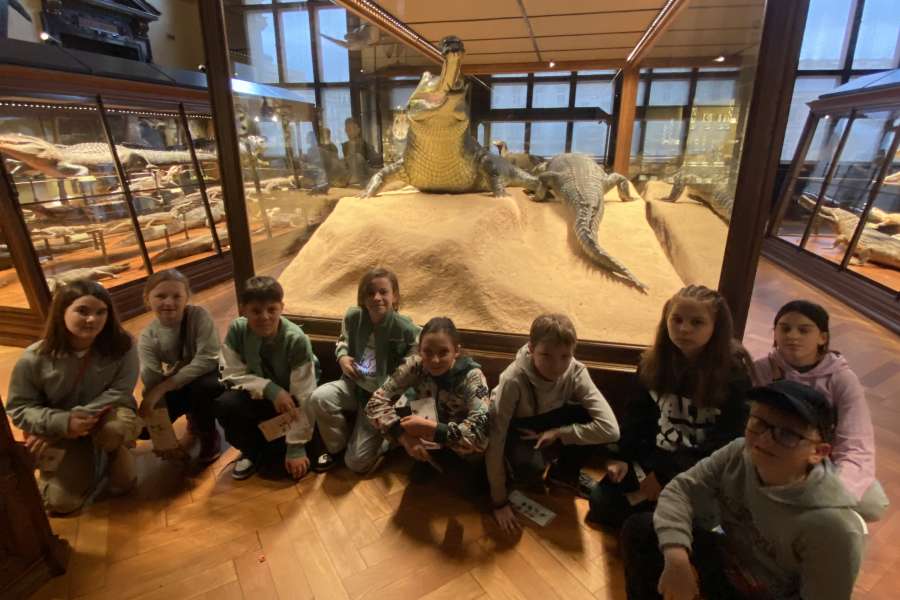 Wycieczka Wiedeń + Budapeszt