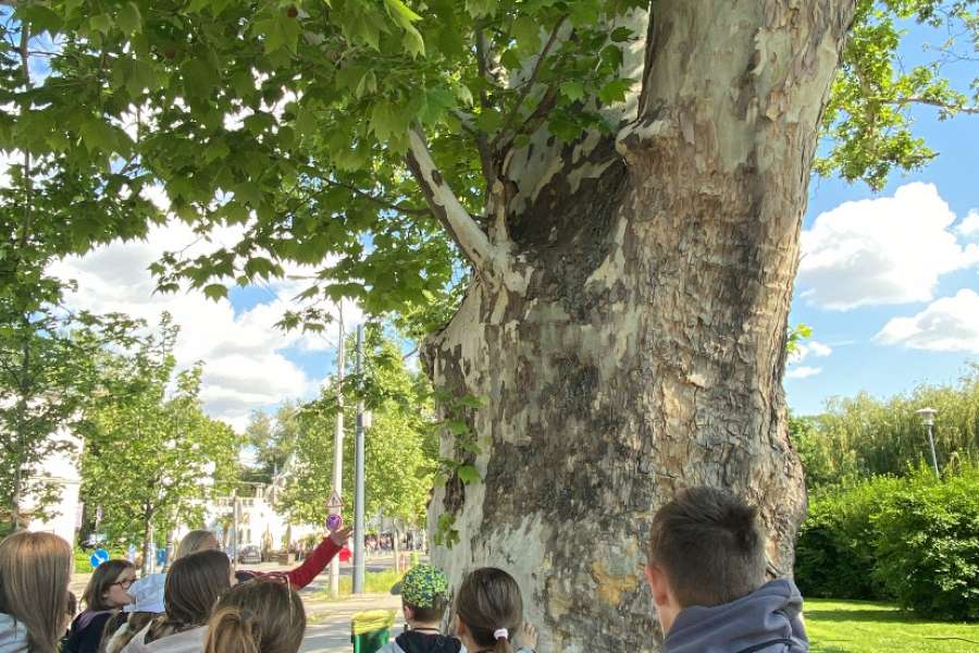 Fotogaleria wycieczka zagraniczna