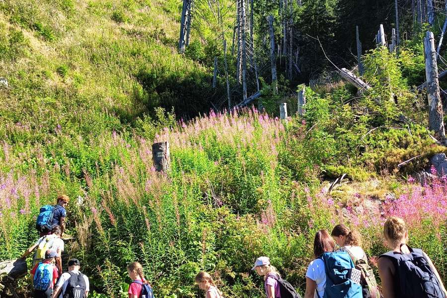 Podsumowanie wycieczek letnich