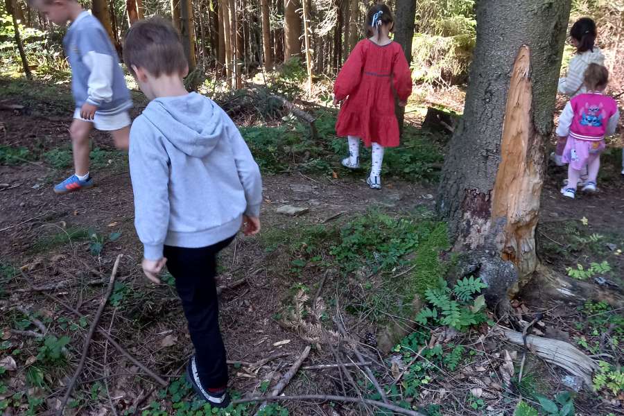 Wyjście przedszkolaków do lasu 2025