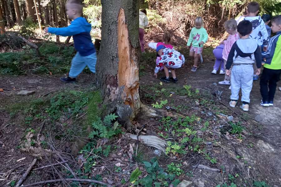 Wyjście przedszkolaków do lasu 2025