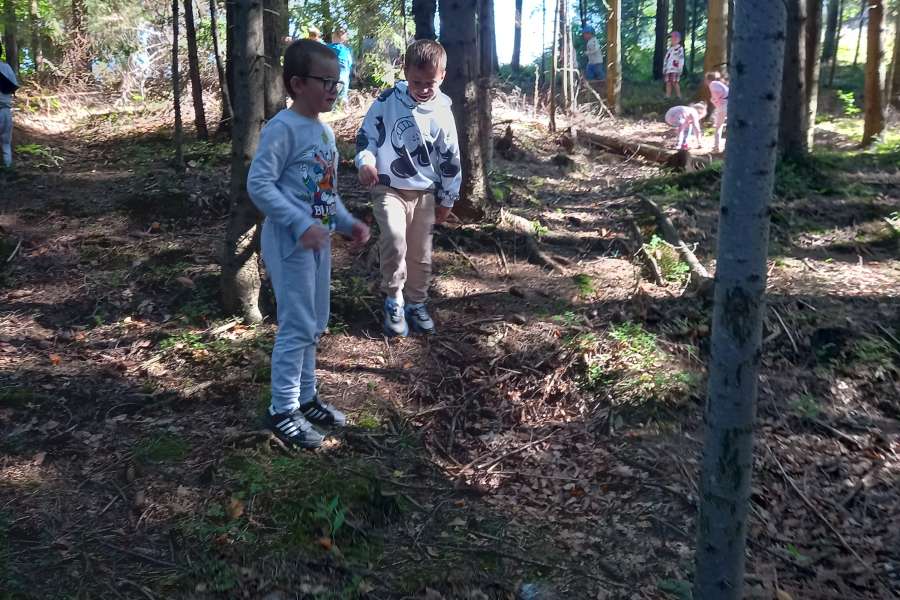 Wyjście przedszkolaków do lasu 2025