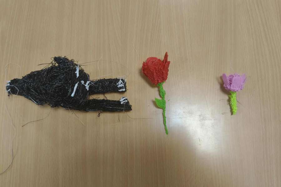 Druk 3D - Pasje Górą