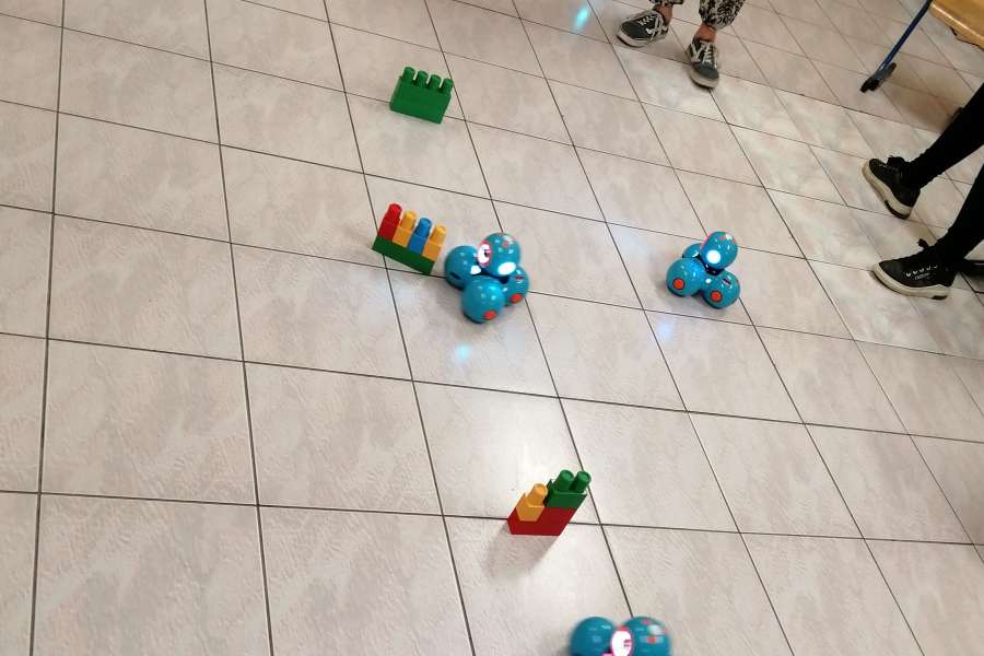 Lekcje z Dash - Pasje Górą