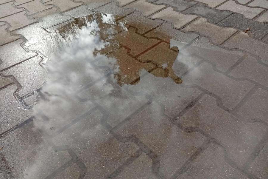 Zajęcia fotograficzne-pasje Górą PKl